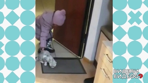 Кот в гостях. Видели видео? Фрагмент