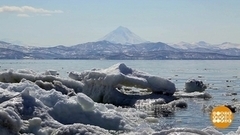 Такая разная — погода. Доброе утро. Фрагмент