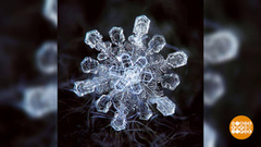 Музыка снега. Доброе утро. Суббота. Фрагмент