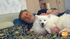 Аллергик и собака: как ужиться. Доброе утро. Фрагмент