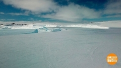 Антарктида: не просто лед! Доброе утро. Фрагмент