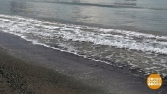 Все на пляж! Доброе утро. Фрагмент