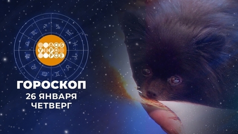 Гороскоп на 26 января. Доброе утро. Фрагмент
