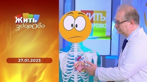 Жить здорово!