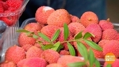 Личи и с чем их едят. Доброе утро. Фрагмент