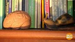 Может ли память переполниться? Доброе утро. Фрагмент