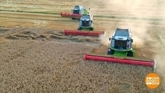 Зачем комбайну автопилот? Доброе утро. Фрагмент