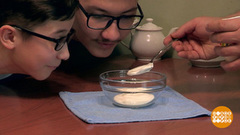 Сметана к блинам: некоторые любят пожирнее. Доброе утро. Фрагмент