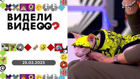 Говорящий скворец, пес-фигурист, кот-фрукторианец. Видели видео?