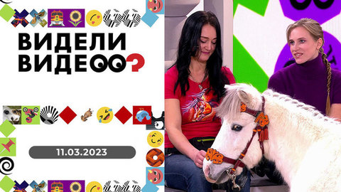 Видели видео?