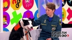 Видели видео? Анонс