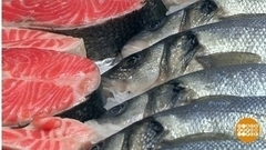 Рыба: морская против речной. Доброе утро. Фрагмент