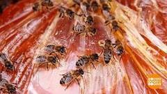 Пчелы проснулись. Доброе утро. Суббота. Фрагмент