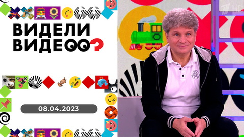 Сурикат и кукла, кот на колесах, пылесос для кошачьей шубки. Видели видео?
