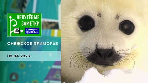 Онежское поморье. Непутевые заметки