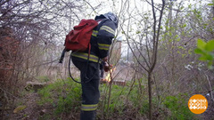 Не жгите траву! Доброе утро. Фрагмент