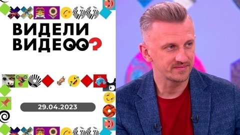 Попугай Жорик в шкафу; спасение совы в Самаре; кот Сван и стиральная машинка. Видели видео?