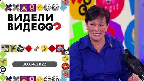 Кот и мышь; пес в пакете; современные рыцари; умная крыса. Видели видео?