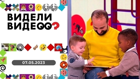Маленькие живые игрушки; наказанный маламут; кот-абьюзер и жертва-лабрадор. Видели видео?