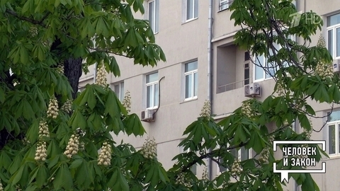 Квартирный вопрос и Москвичи. Человек и закон. Фрагмент
