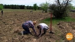 Посадить дерево… А где?! Доброе утро. Суббота. Фрагмент