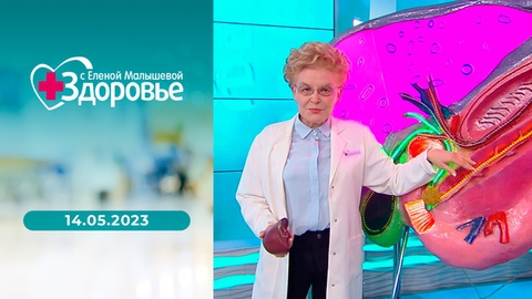 Тесты перед отпуском; необычная патология; кокосовое масло и волосы, ультрафиолет. Здоровье