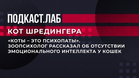 «Коты – это психопаты». Зоопсихолог рассказал об отсутствии эмоционального интеллекта у кошек. Кот Шредингера. Фрагмент выпуска от 14.05.2023