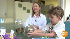 «Чья-то жизнь — уже не мелочь». Присоединяйтесь! Доброе утро. Фрагмент