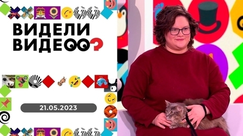 Кот-взломщик; любовь к учебе; дизайн от лабрадора; мальчик и котенок. Видели видео?