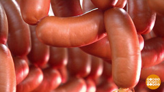 Сосиски, сардельки, шпикачки: в чем разница? Доброе утро. Фрагмент