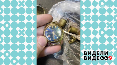 Сорочий клад. Видели видео? Фрагмент