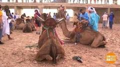 Праздник кочевых племен. Доброе утро. Фрагмент