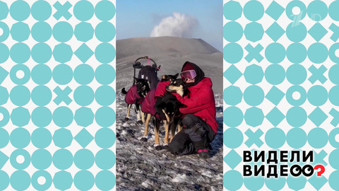 Каюр и вулкан. Видели видео? Фрагмент