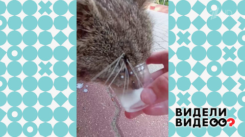 Тосик Богданов. Видели видео? Фрагмент