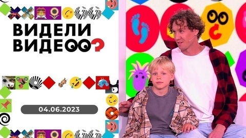 Мальчик и черепаха; кот и малыш; улитка из пакета; каюр и вулкан; кот Тосик Богданов. Видели видео?