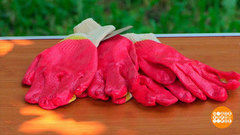 Краш-тест садовых перчаток. Доброе утро. Фрагмент