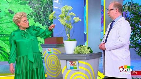 Ядовитые монстры на ваших огородах. Борщевик. Жить здорово! Фрагмент