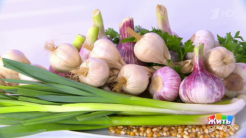 Во саду ли, в огороде. Чеснок. Жить здорово! Фрагмент