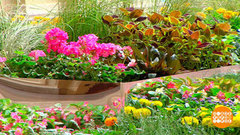 Целое море цветов! В ГУМе. Доброе утро. Фрагмент