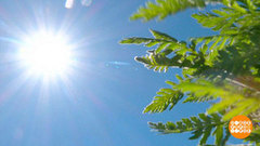 Формула духоты. Доброе утро. Фрагмент