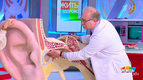 «Ухо пловца»: как избежать наружного отита. Жить здорово! Фрагмент