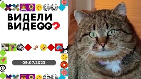 Короткая прогулка; ушки в тепле; круговорот головы; добрый мальчик и ретривер в луже. Видели видео?