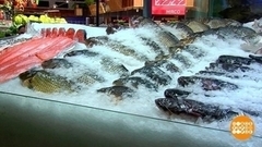 Выбираем речную рыбу. Доброе утро. Фрагмент