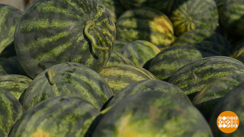 «А» — значит «арбуз»! Доброе утро. Фрагмент