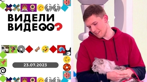 Лежанка на подоконнике, кот в гнезде аиста, поющая кошка. Видели видео?