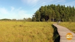 Неожиданный Санкт-Петербург. Заповедный! Доброе утро. Фрагмент