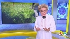 Лето — это маленькая жизнь. Жить здорово! Анонс