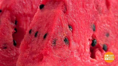 Арбуз: все внимание на семечки! Доброе утро. Фрагмент