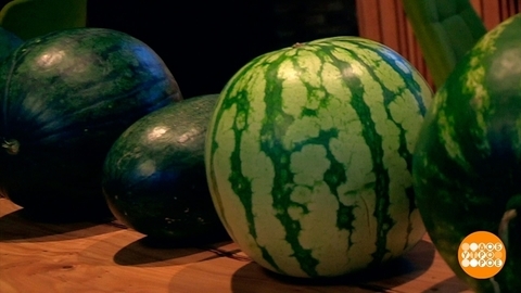 Такие разные арбузы. Доброе утро. Суббота. Фрагмент