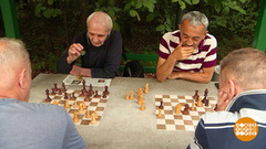 Как разбудить мозг? Доброе утро. Фрагмент